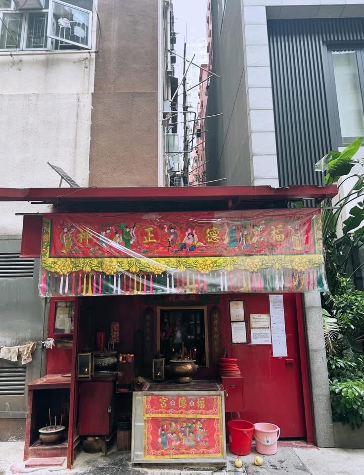 DusenburyDavid's tweet image. It’s great to be back, @stefanauer_hku.

#hongkong #humanities