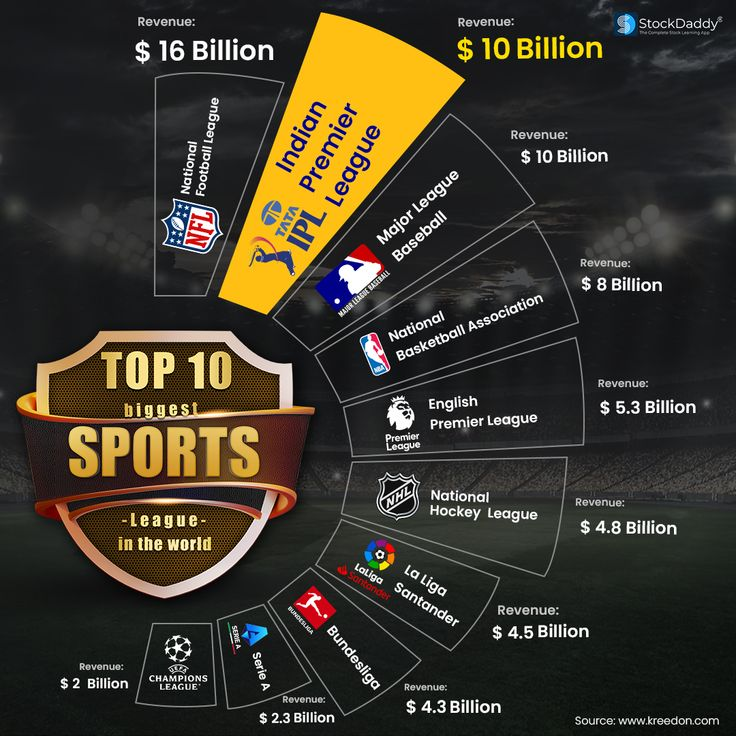 Top 10 Biggest Sports Leagues by Revenue 🏆

🏈 NFL — $16 Billion
🏏 IPL — $10 Billion
⚾ MLB — $10 Billion
🏀 NBA — $8 Billion
⚽ Premier League — $5.3 Billion
🏒 NHL — $4.8 Billion
⚽ La Liga — $4.5 Billion
⚽ Bundesliga — $4.3 Billion
⚽ Serie A — $2.3 Billion
⚽ Champions