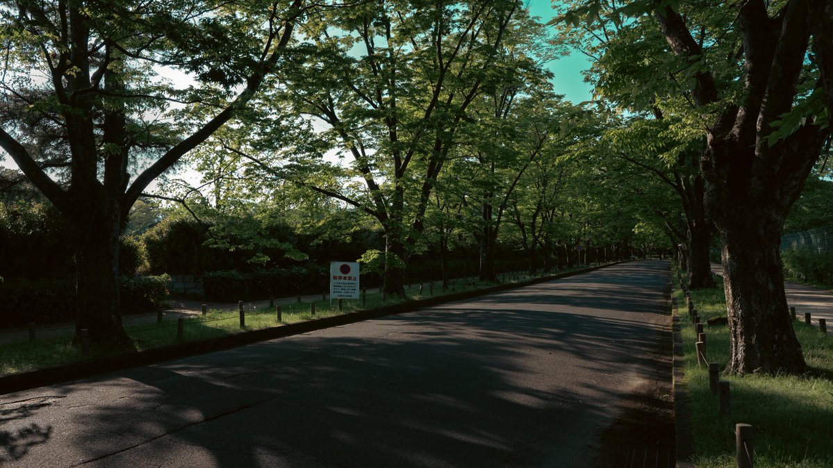 雨霞/amagasumi tweet media