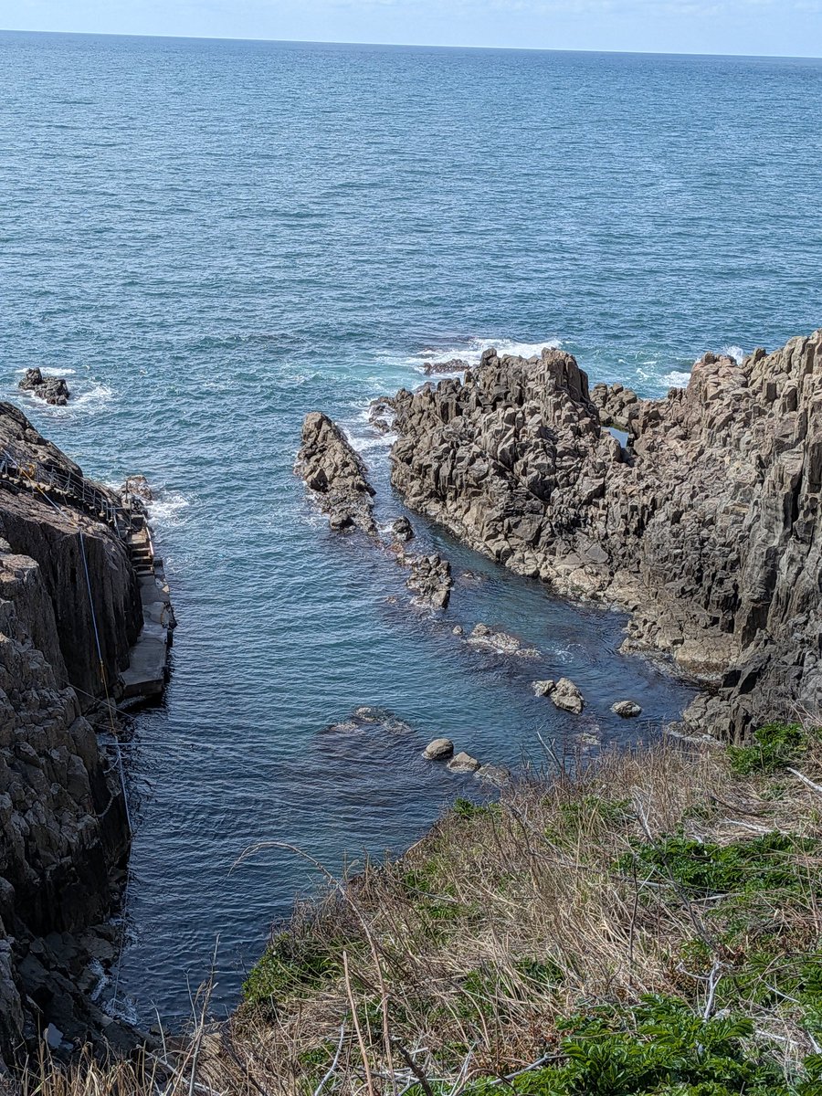 mickeygasuki's tweet photo. 東尋坊🌊🪨福井恐竜博物館🦕 https://t.co/7PPwWHdJu9