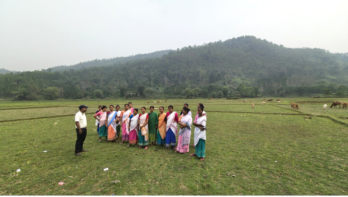 ICAR-National Research Centre on Pig, Guwahati tweet media