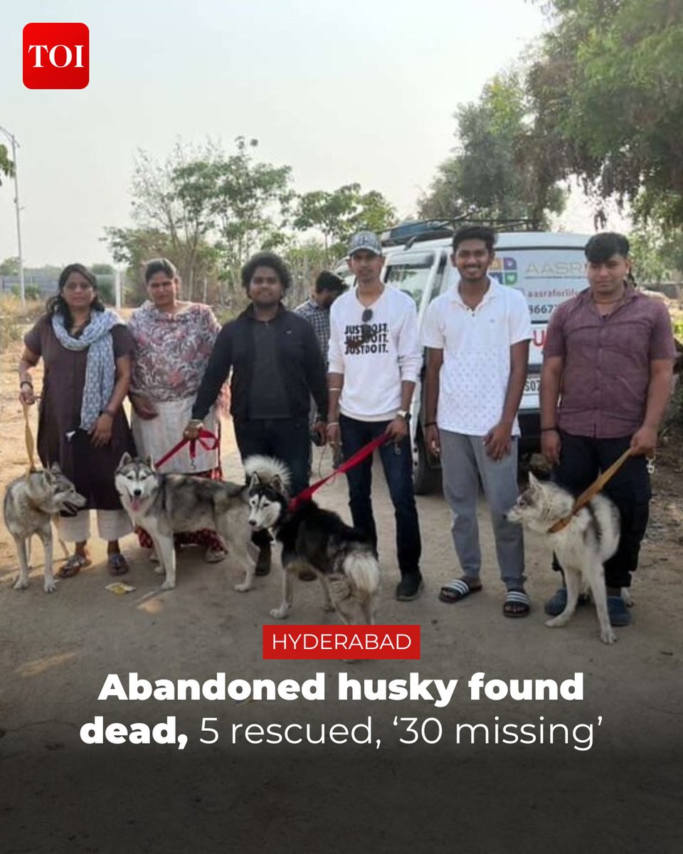 timesofindia's tweet image. In a suspected case of abandonment, five #SiberianHusky #dogs were found deserted near Nandigaon village along the Shankarpally–Patancheru road on the outskirts of #Hyderabad early on Wednesday morning. Another dog was found dead, believed to have succumbed to heatstroke.