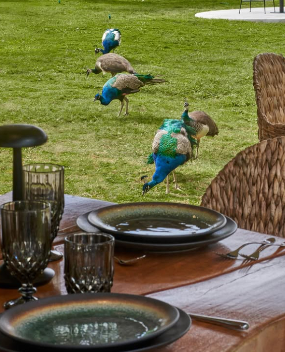 Mario J. Pentón tweet media