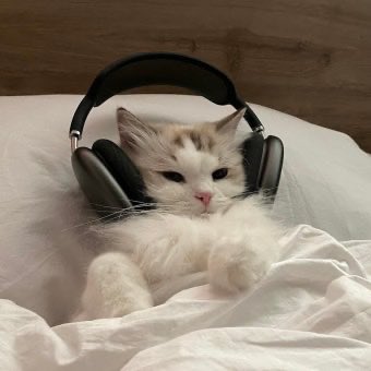 청 록 tweet media