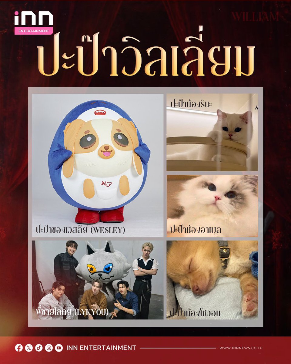 สำนักข่าว INN tweet media
