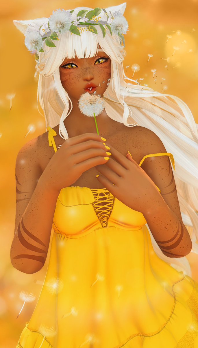 ☀️ Sol tweet media