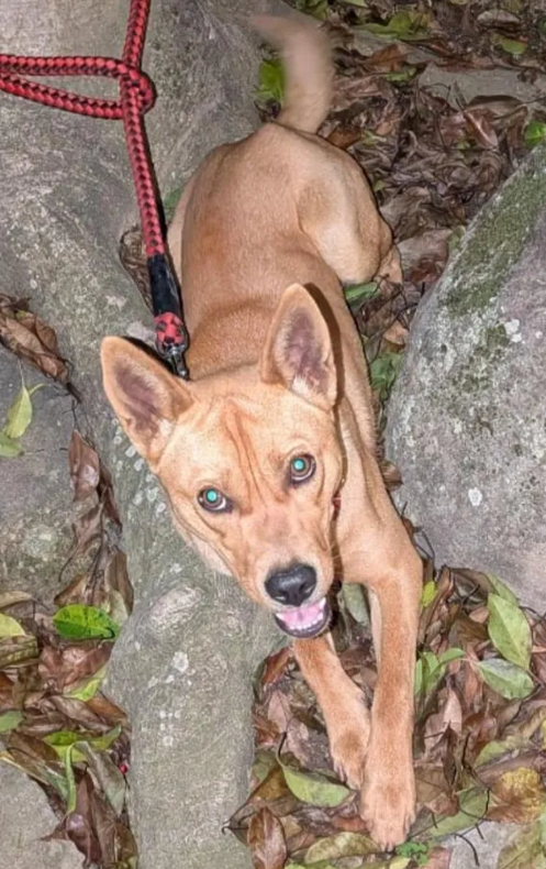 くるみmama tweet media