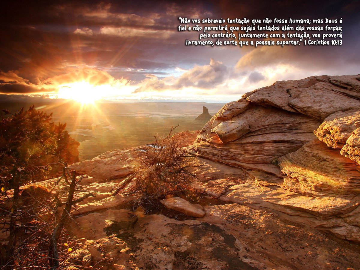 versiculos's tweet photo. 1 Coríntios 10:13 Não vos sobreveio tentação que não fosse humana; mas Deus é fiel e não permitirá que sejais tentados além das vossas forças; pelo contrário, juntamente com a tentação, vos proverá livramento, de sorte que a possais... https://t.co/rpWJbC9f7j