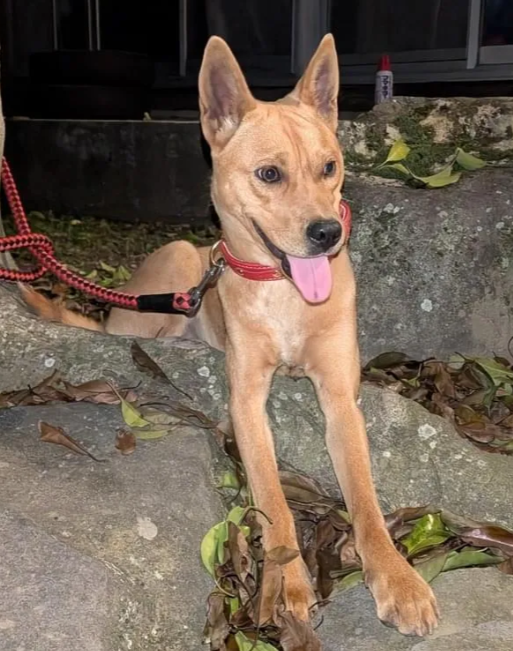 くるみmama tweet media