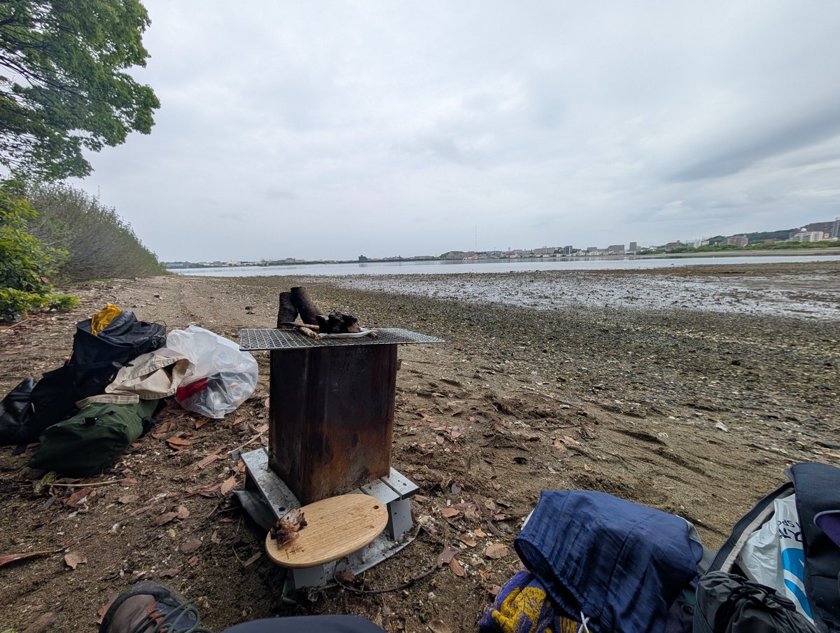 koru_05's tweet photo. 潮干狩りしてアサリを取った。
海で砂抜きしてたら、潮が満ちて回収不可になった。 https://t.co/xMQN8Gu5Km