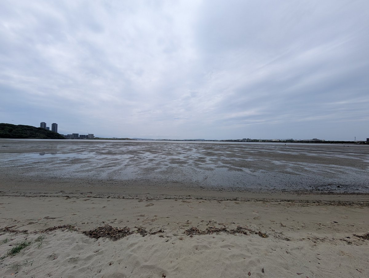 koru_05's tweet photo. 潮干狩りしてアサリを取った。
海で砂抜きしてたら、潮が満ちて回収不可になった。 https://t.co/xMQN8Gu5Km