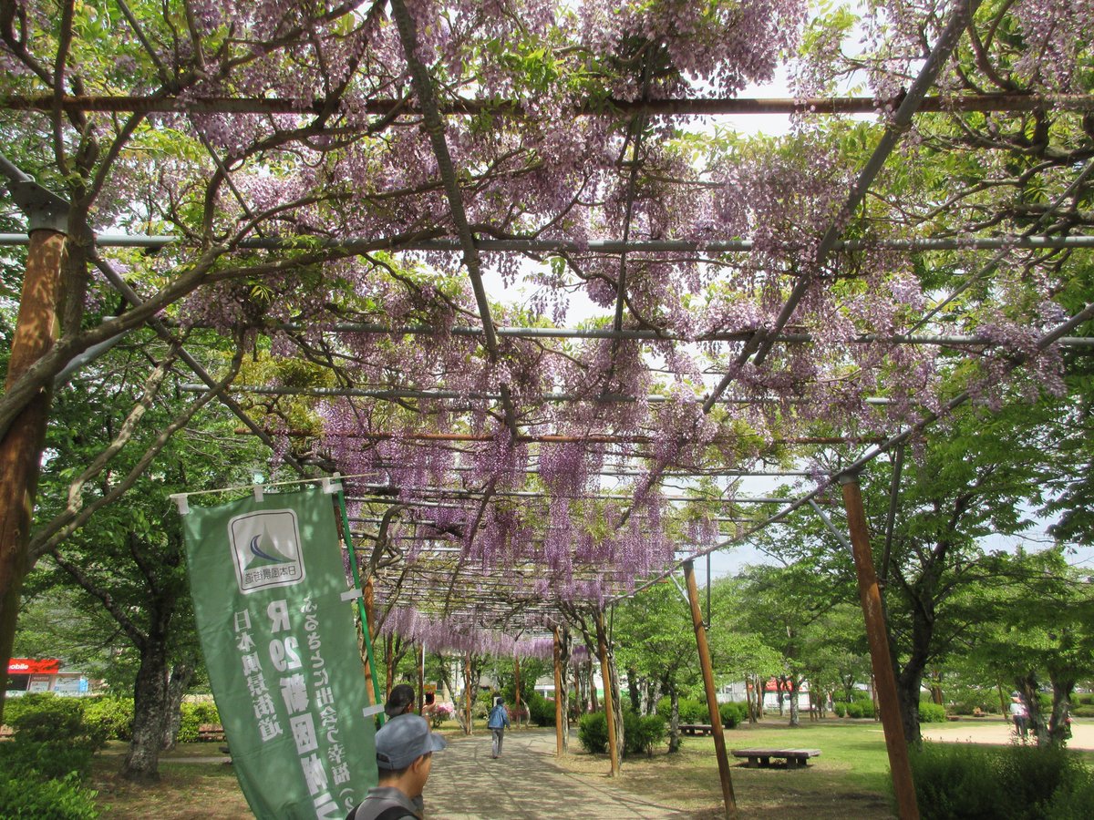 国土交通省　姫路河川国道事務所 tweet media