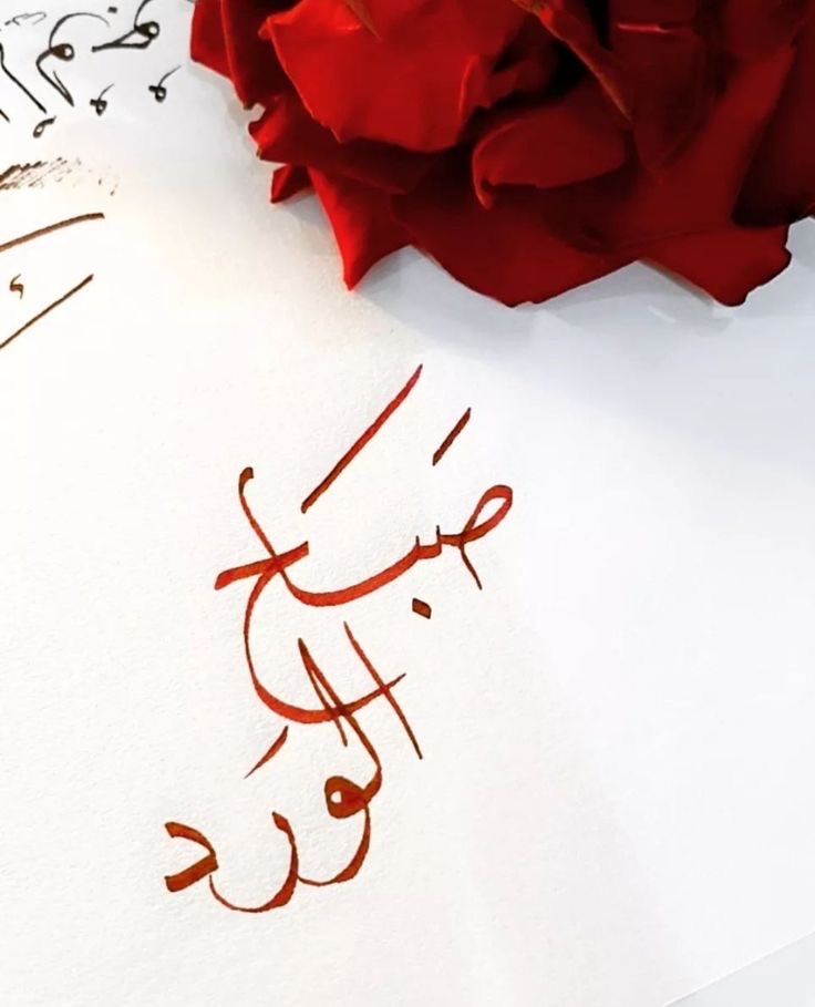 متعب tweet media