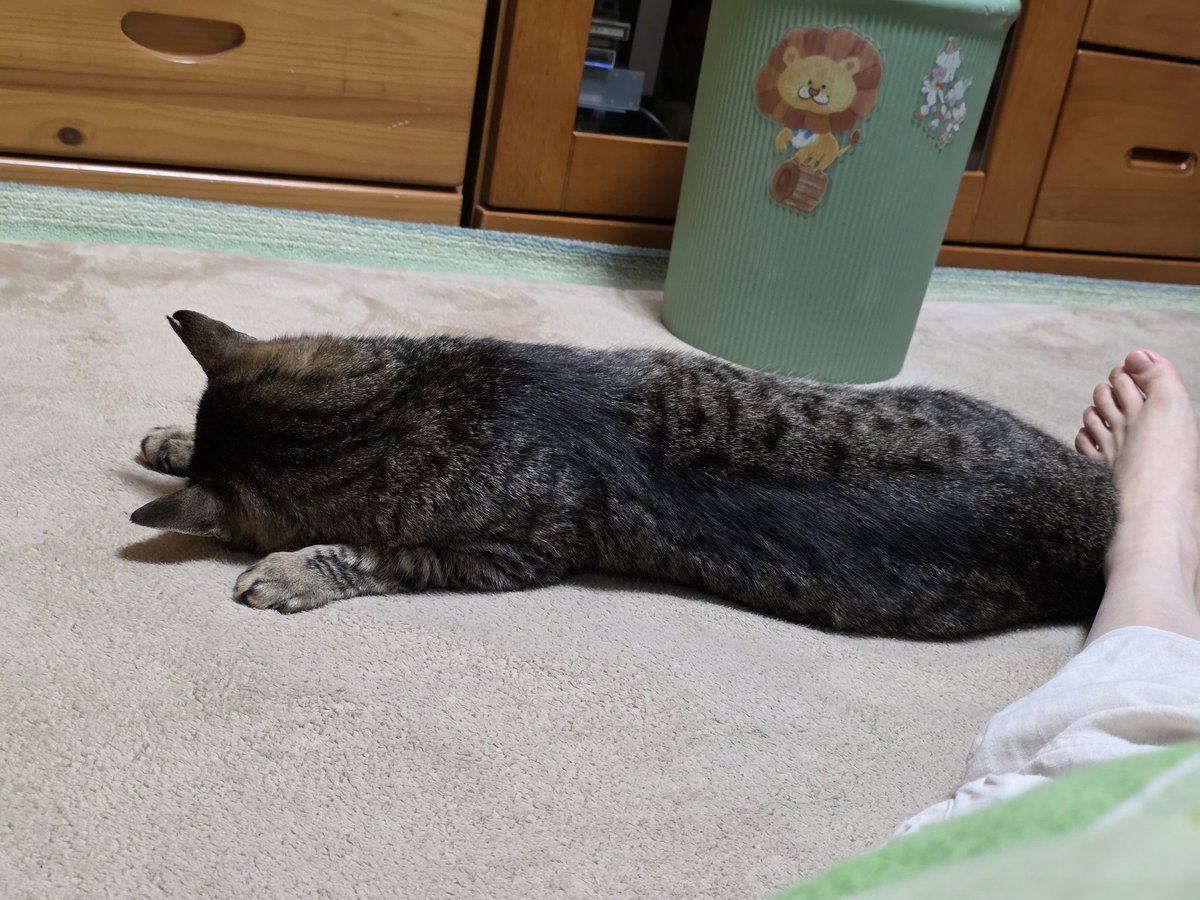 寝た