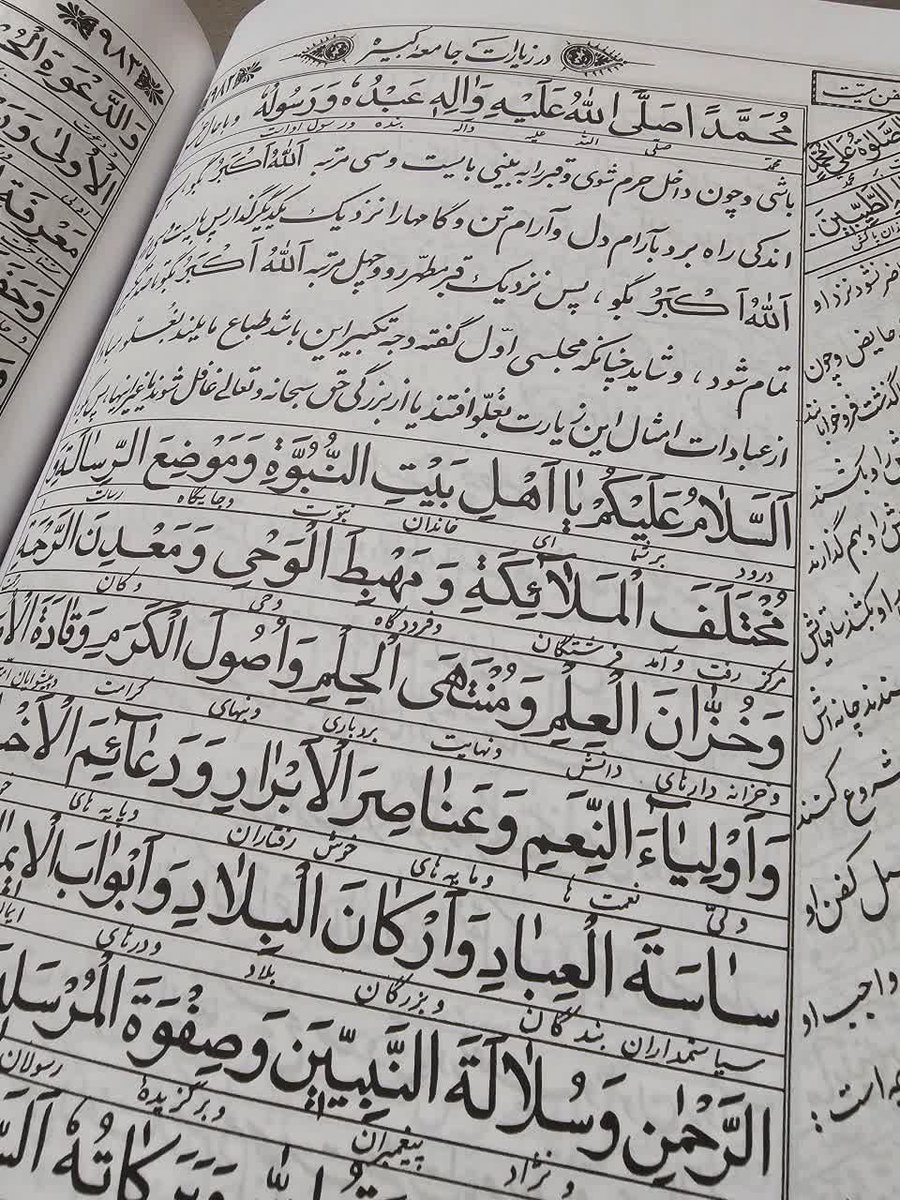 Masomeh Heidary tweet media