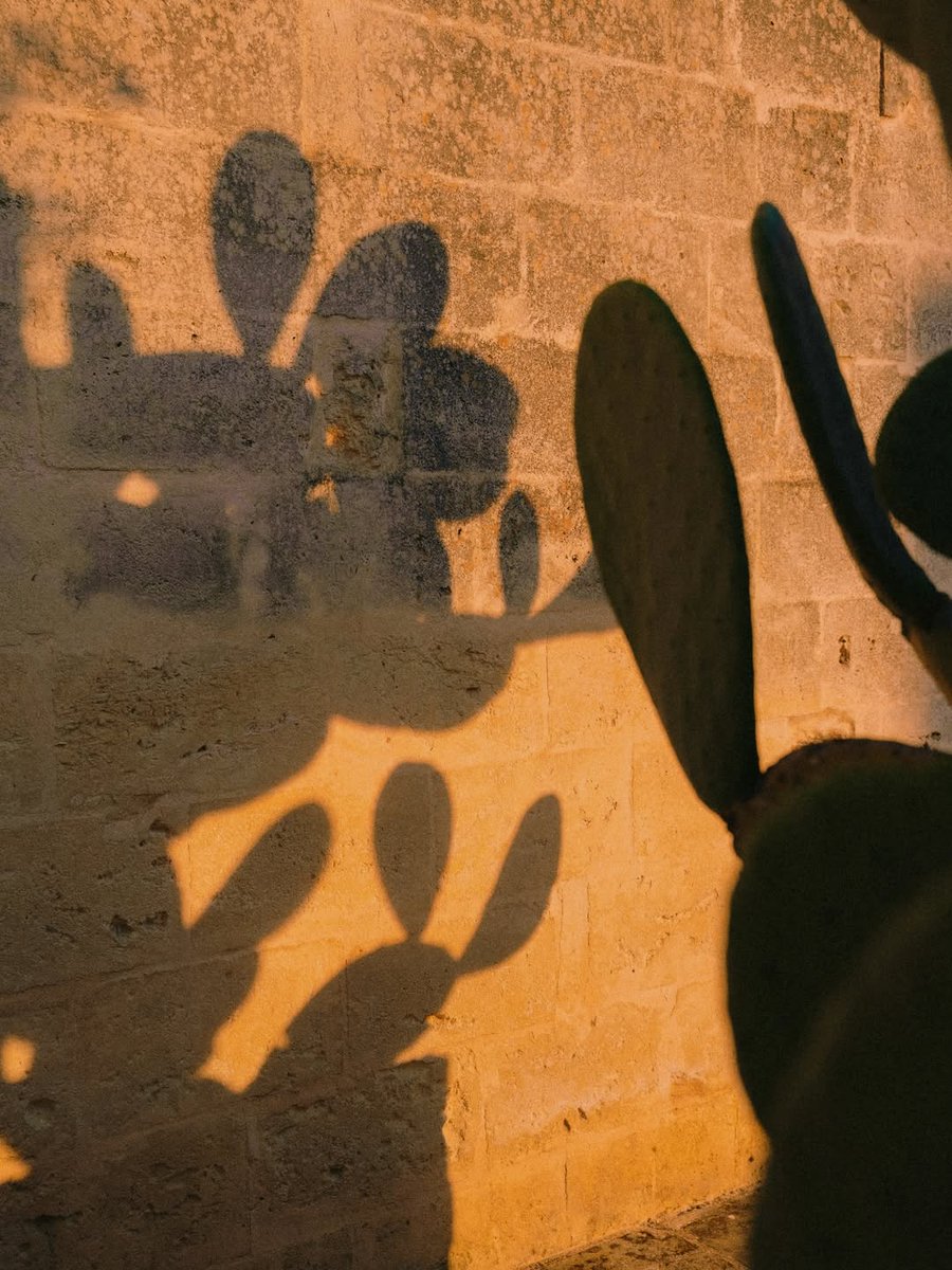 ttpdxb's tweet image. From today on, the light stays. Borgo Egnazia

#BorgoEgnazia #luxurytravel #luxuryhotels #thetravelportfolio