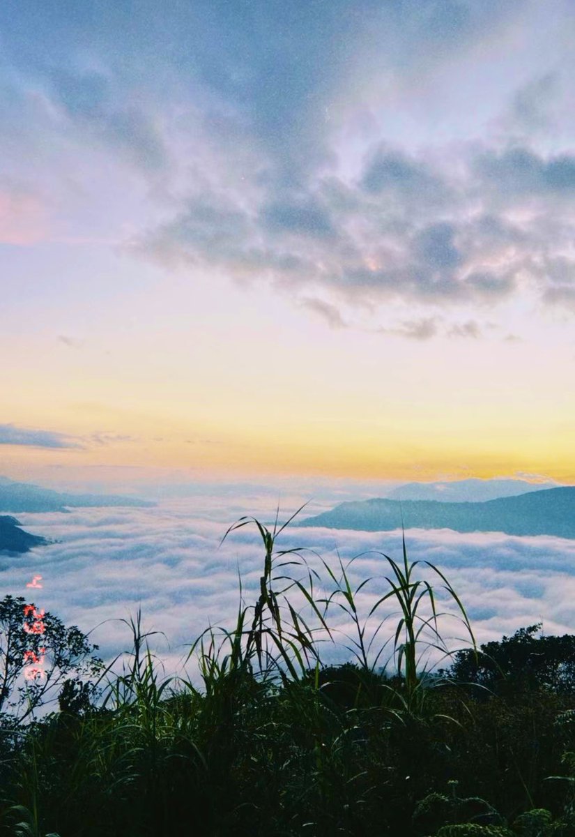 cara 💤 tweet media