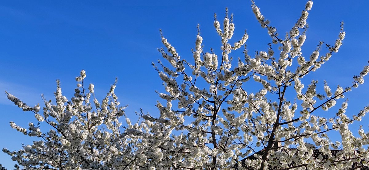 Sonniger Frühlingstag: UV-Schutz empfohlen