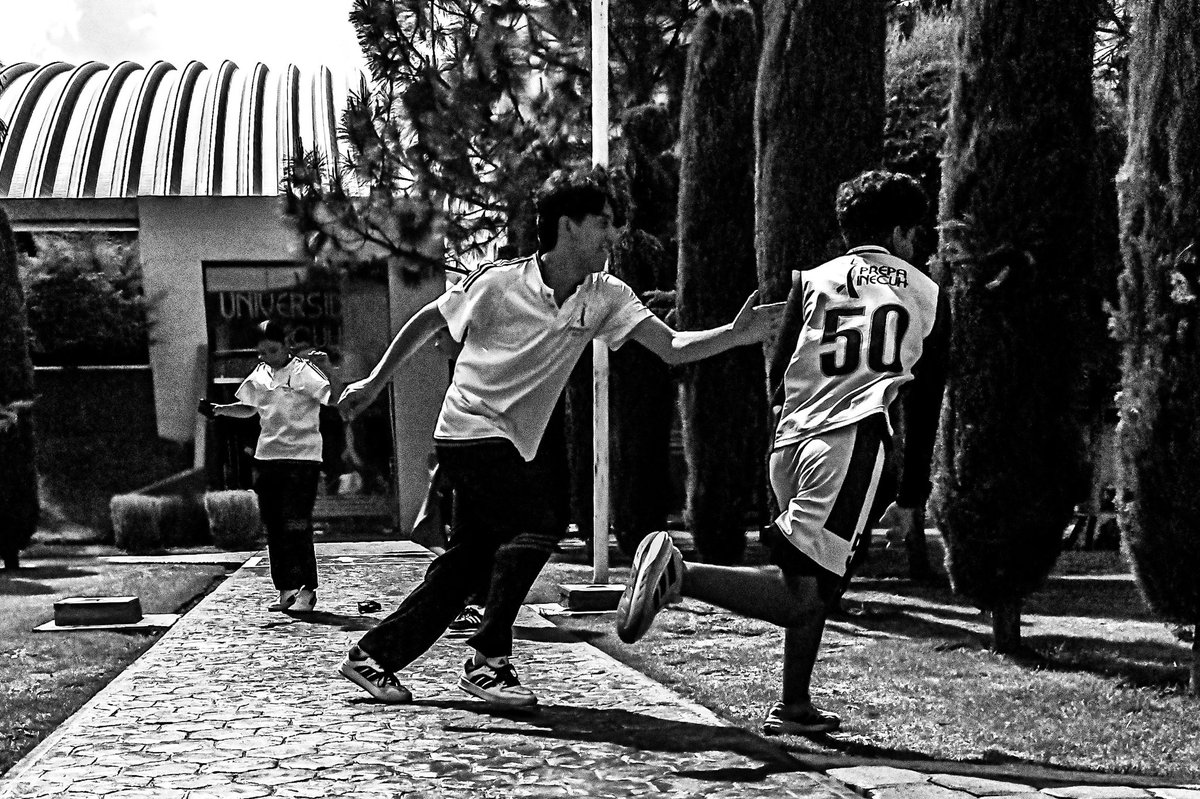 GabrielPiedrola's tweet photo. En el patio 
#fotografia https://t.co/XuKkO8FYqo