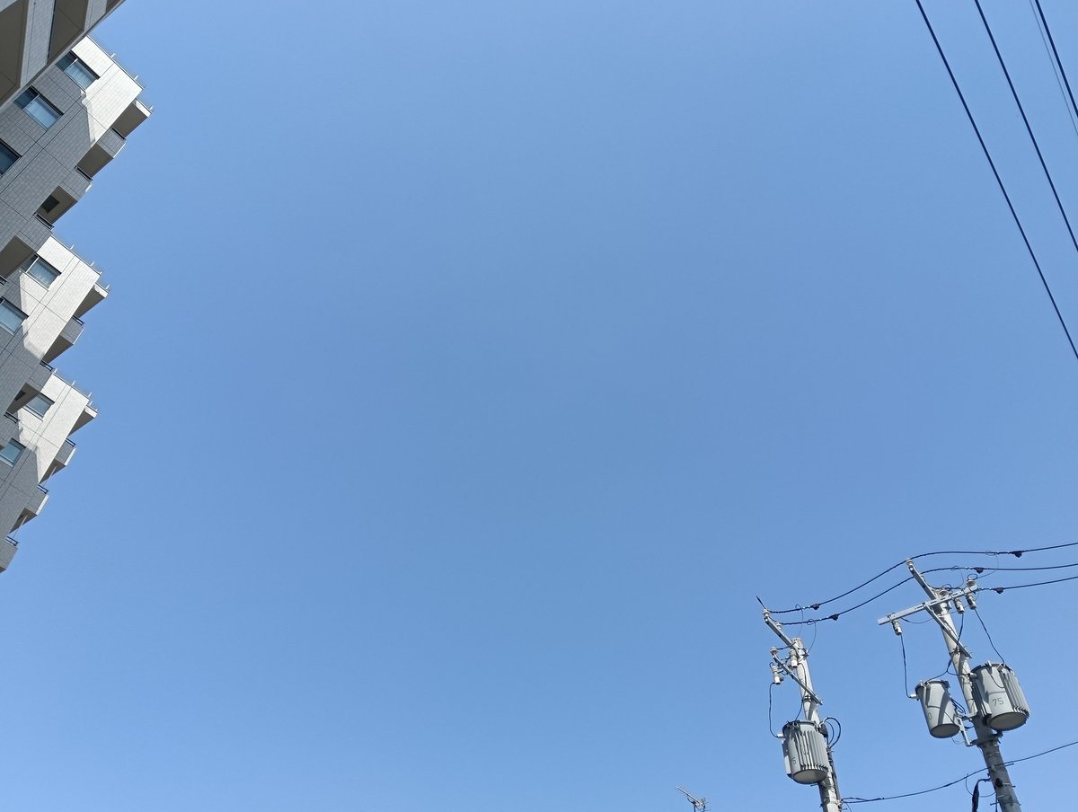 ゆうき tweet media