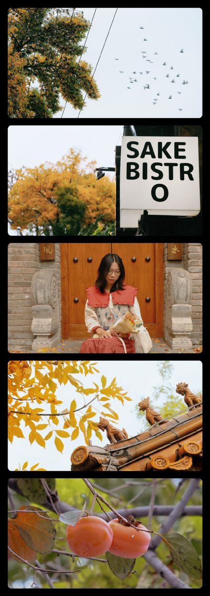 Dhirendra P. Singh tweet media