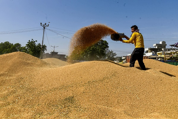 InvGurInd's tweet image. Madhya Pradesh government extends wheat procurement window to May 23

investmentguruindia.com/newsdetail/mad…

#Industry #Government #ChiefMinister @DrMohanYadav51  #Farmers #WheatProcurementCenter #Investmentguruindia