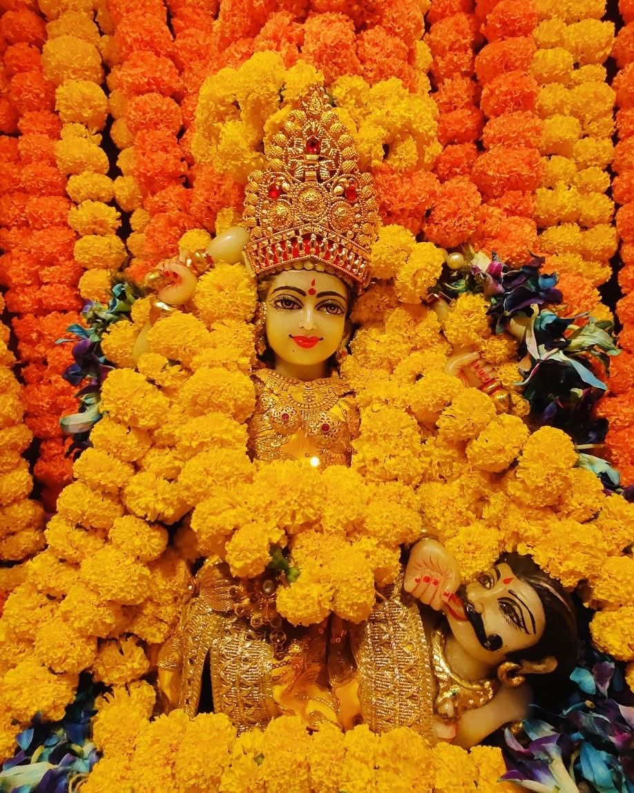 Maa BaglaMukhi Mandir tweet media