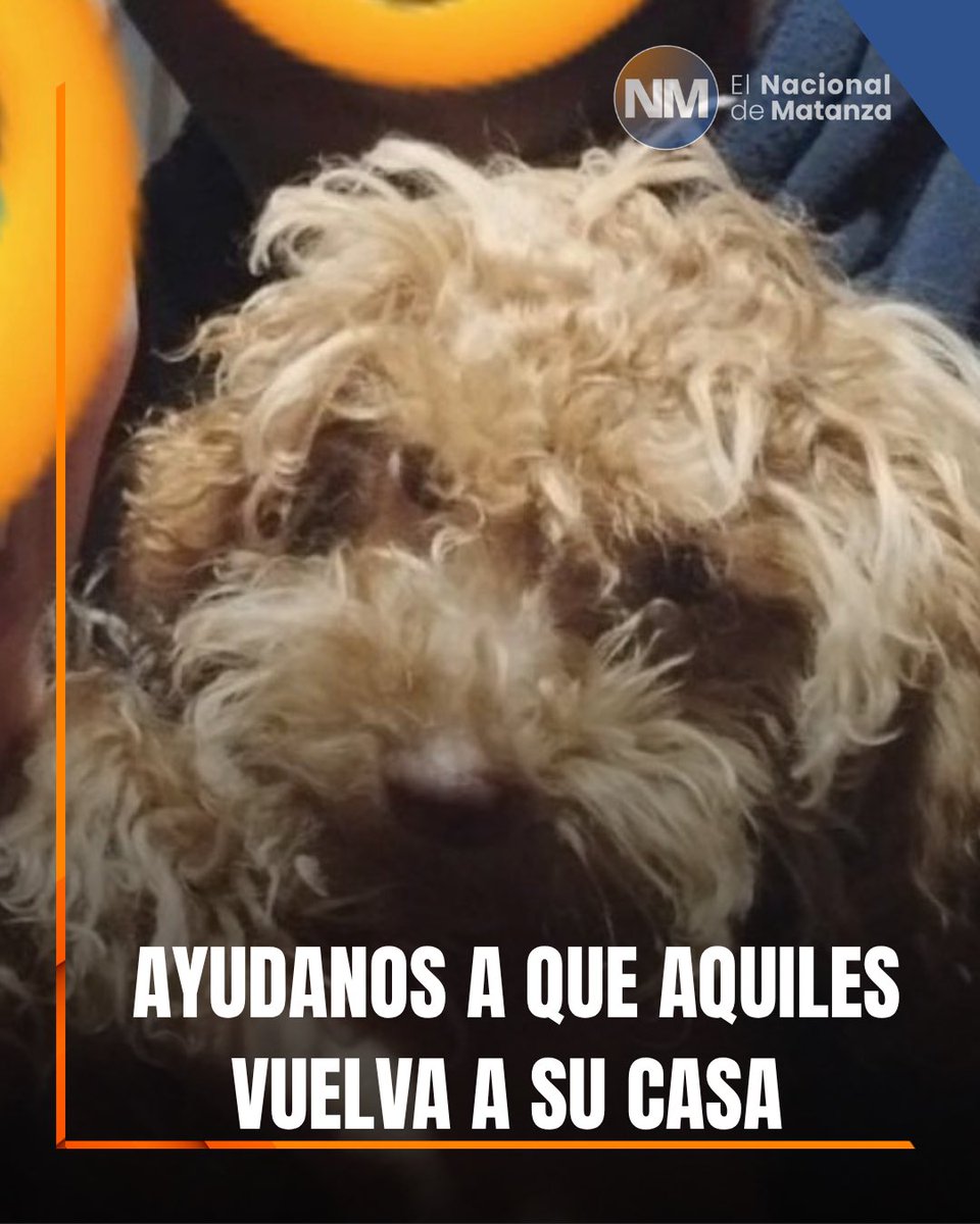 El Nacional de Matanza tweet media