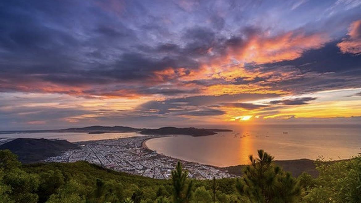 Phạm Hoàng | Royal tweet media