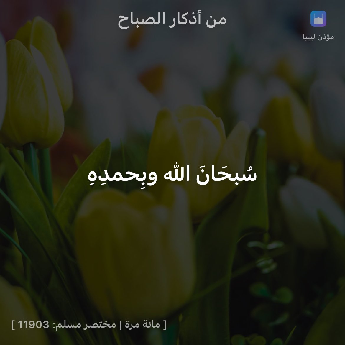 J 🇱🇾 tweet media