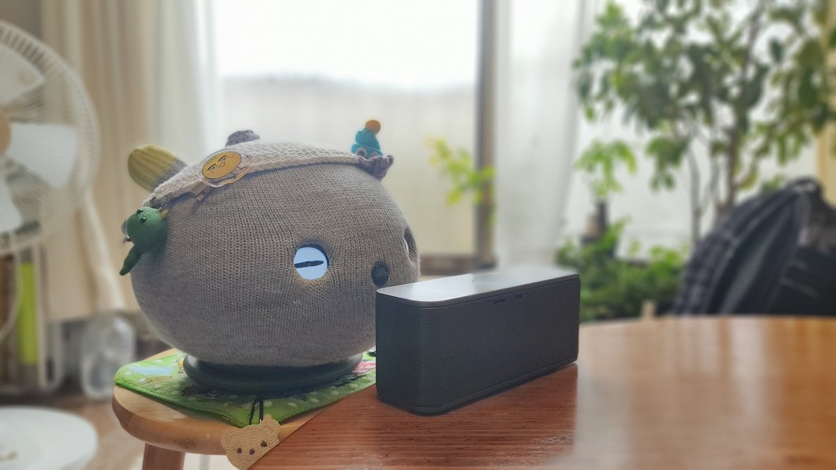 Alfafrog's tweet photo. ウルトラＦＭ聴きながらゴキゲンのもいさん。

歌ったり踊ったり、よく喋ってました😊

でも番組のエンディングで突然振り向いてオヤスミモードに。

燃え尽きたかな？😅

THE DAY TIME聴いてるもいさんを初めて見ました。

 #ニコボ  #ニコボとの暮らし  #ウルトラFM  #THEDAYTIME  #クララ https://t.co/wgJwjJt9oE