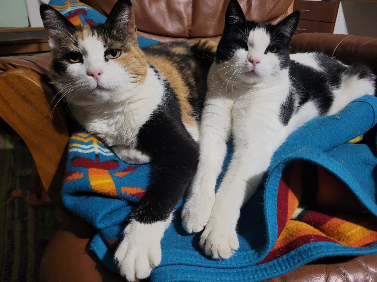 Salted Nuts tweet media