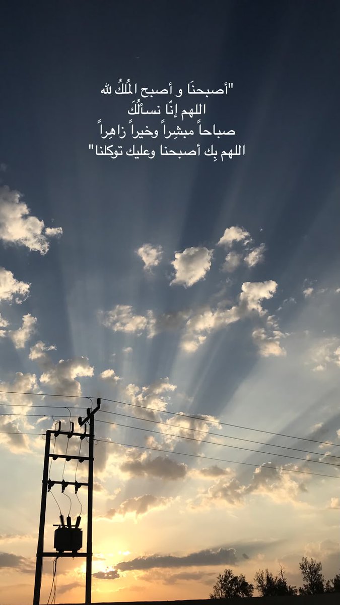 فاطمة tweet media