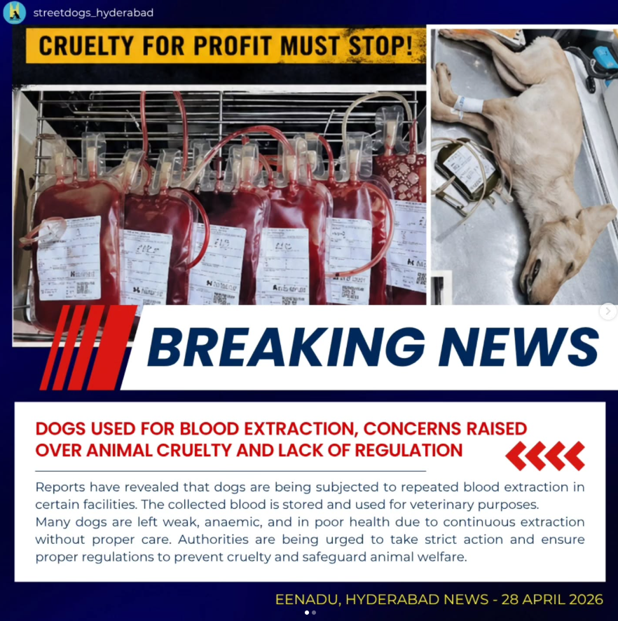 Dev tweet media