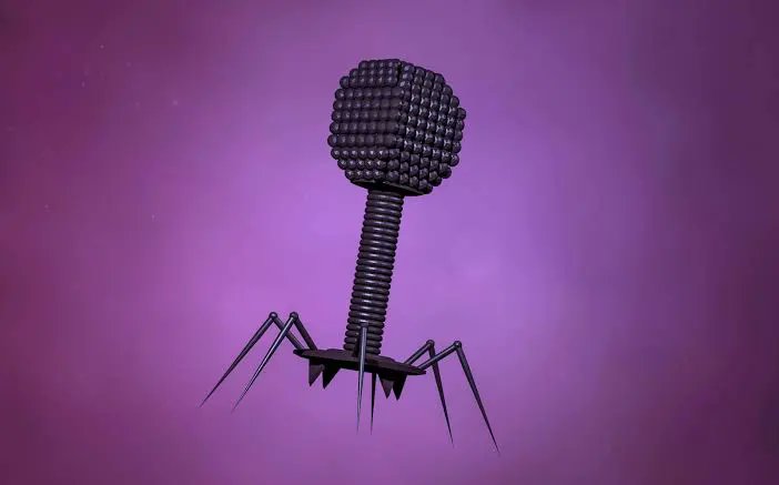 TSohajda's tweet photo. Stabilization and Delivery of Anti-Vibrio Bacteriophage Therapeutics

This invention by @PhagePro (WO 2026/029901 A1) combines a three-phage cocktail (ICP1, ICP2, and ICP3) with a carefully engineered excipient coating, where hydroxypropyl β-cyclodextrin plays a central role. https://t.co/XjGGBOvAZX