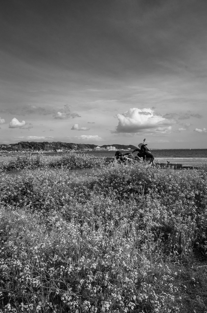 suna_keshi's tweet image. 『由比ヶ浜海岸』
（縦写真）
#snapshot 
#monochrome 
#beach