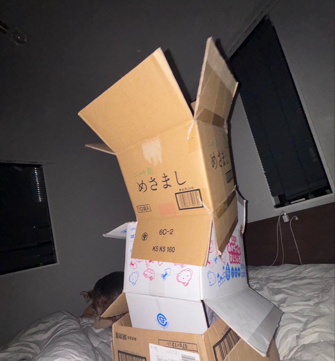 國頭 武/takeshi kunito tweet media