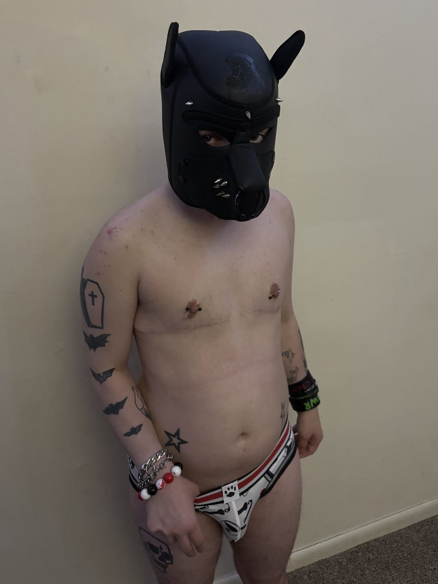 Pup Phantom 🖤 tweet media