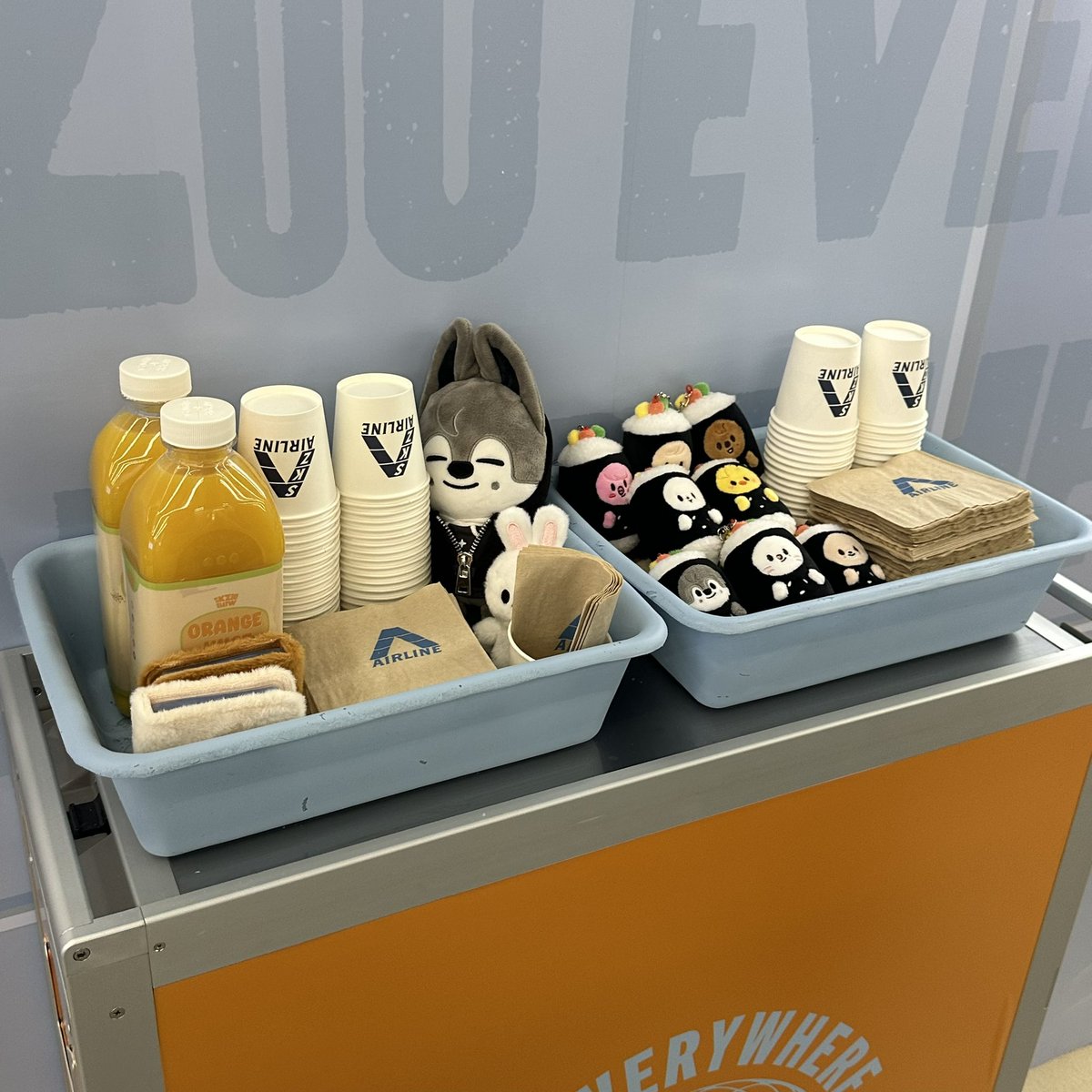lshirly2's tweet photo. #Everywhere_with_SKZOO #FANS_SHOP #팬즈샵 https://t.co/o3W3aqbkXC