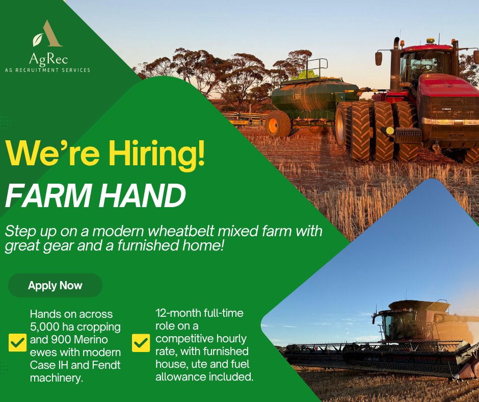 AgRecGroup's tweet photo. NOW HIRING — Farm Hand | West Holleton, WA

Long-term role on a 6,000 ha mixed cropping &amp; Merino operation. Modern Case IH &amp; Fendt gear, furnished home, ute &amp; fuel allowance.

Apply 👉 https://t.co/QbpsKsvwdA
#FarmJobs #AgJobs #Wheatbelt #WA https://t.co/Jv2W3pIHDW