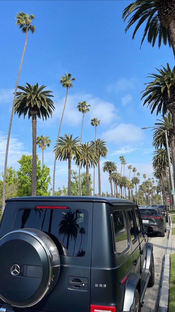 Bruca 🎪 tweet media