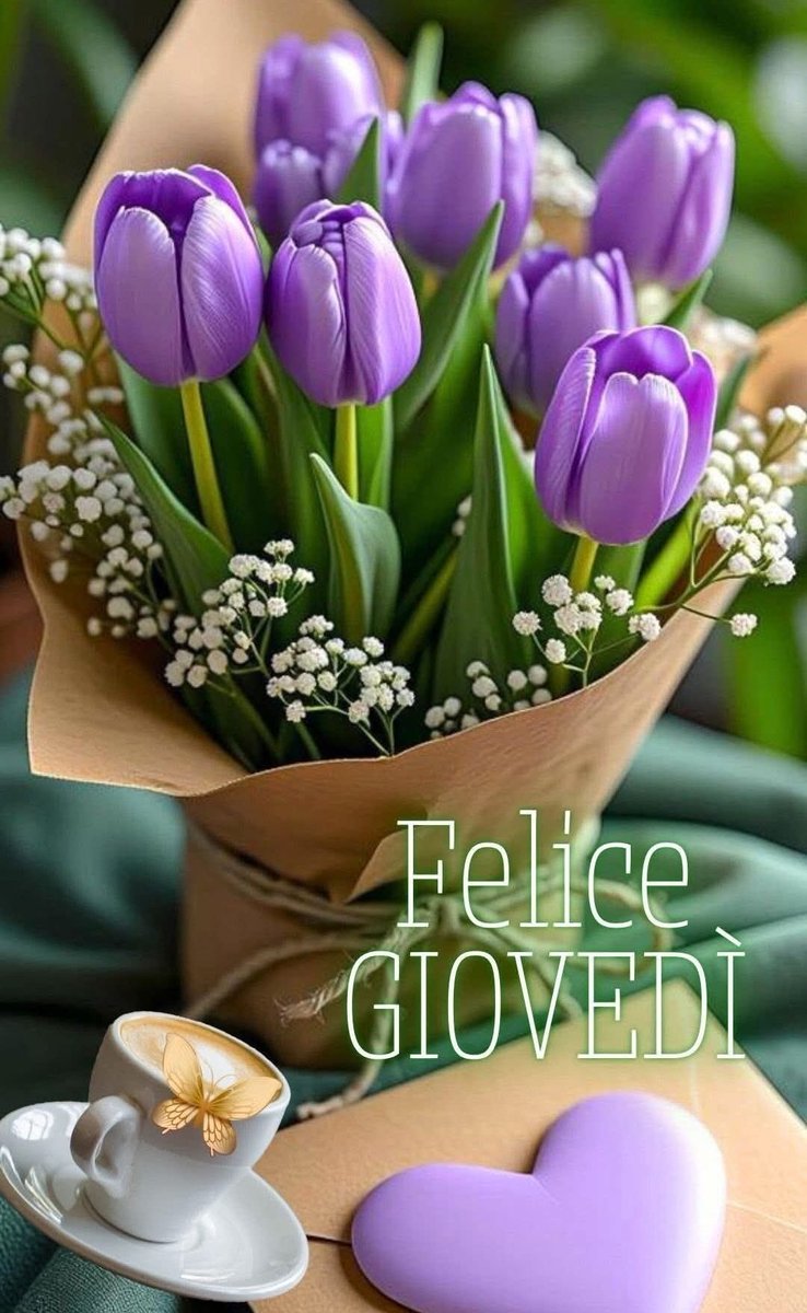 🇮🇹Violetta🇮🇹 tweet media