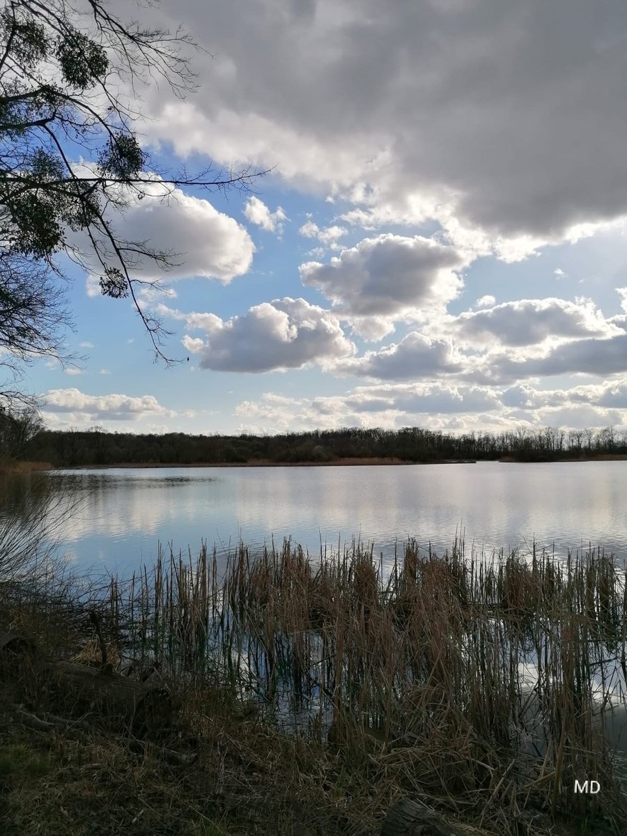 Martina Dvorská tweet media