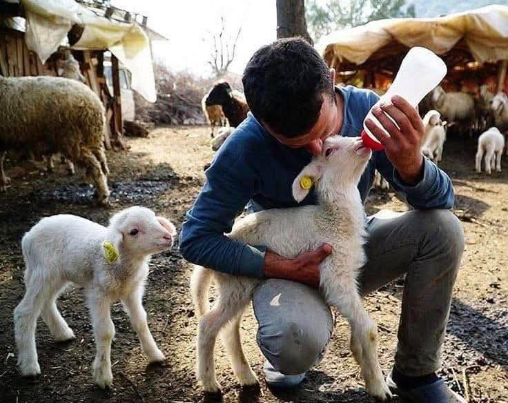 Ali Serçe tweet media