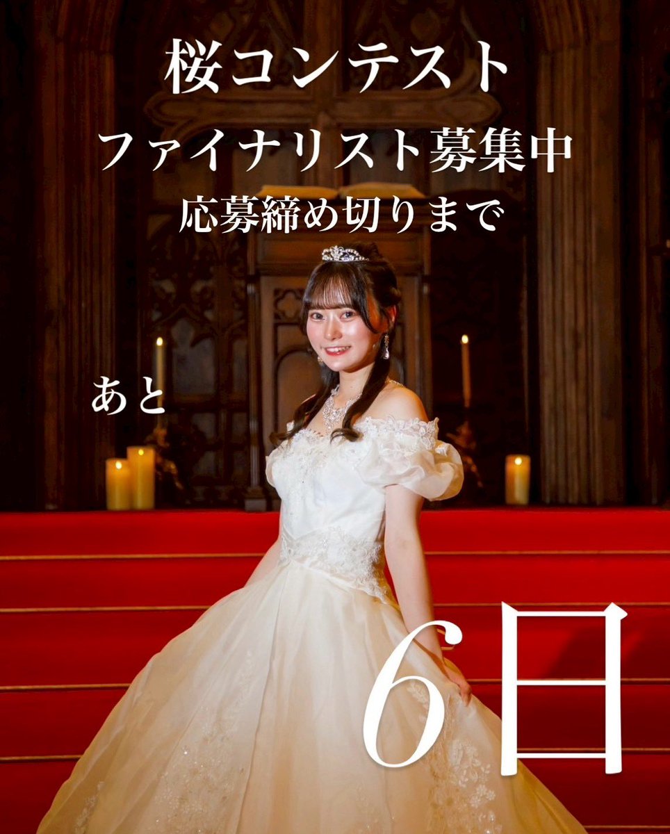 こんにちは！桜コンテスト実行委員会です🌸

ファイナリスト応募締切まで ”あと6日”

あなたの勇気あるご応募をお待ちしております！

#桜美林大学 #桜美林 #桜コンテスト #sakuracontest #桜李祭