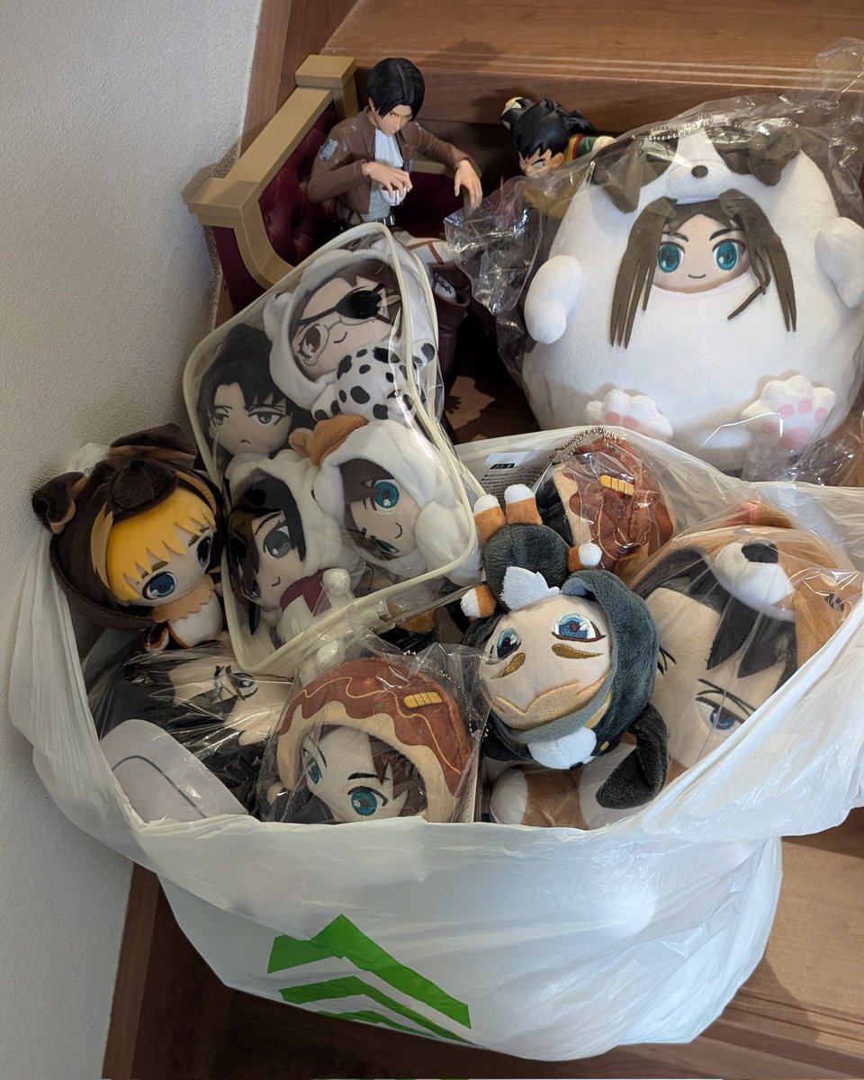 ぽんちゃん tweet media