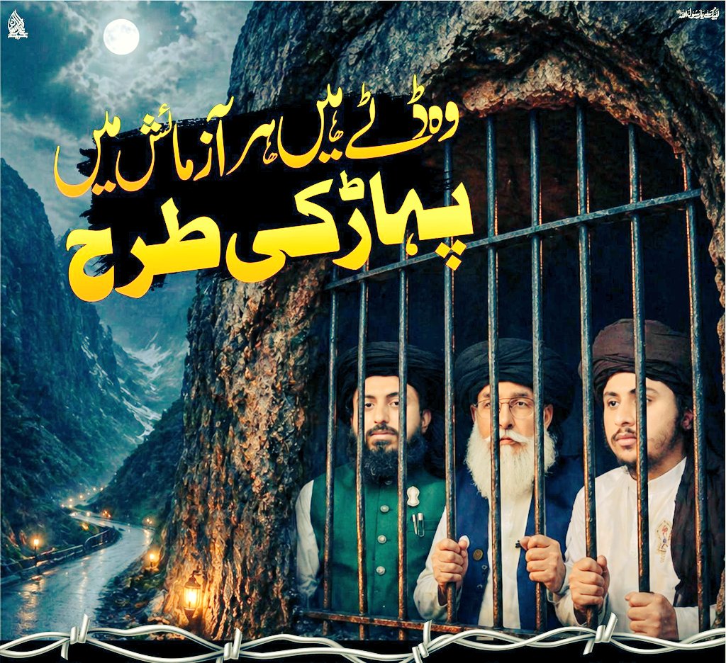 Ayesha Rizvia tweet media