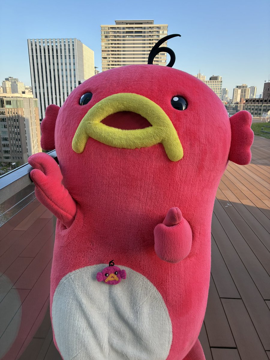 エビシー【公式】 tweet media