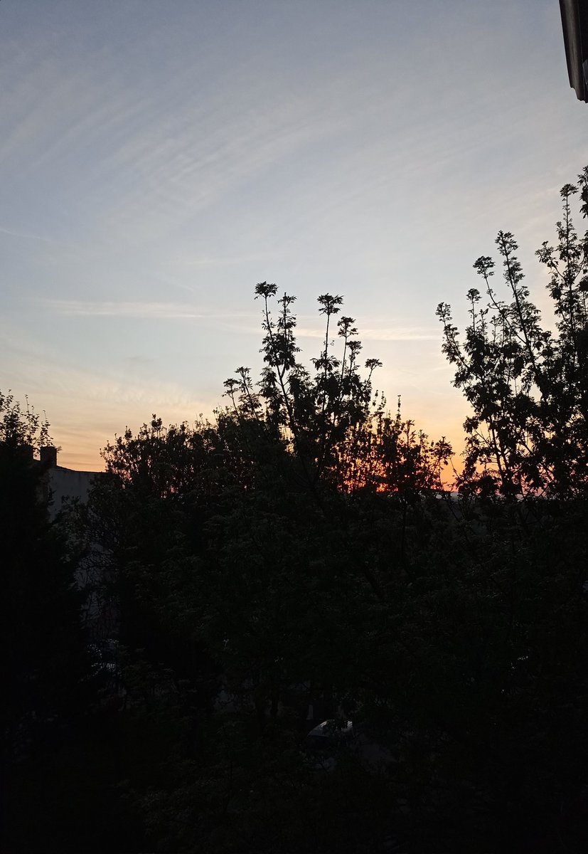 ☆ŞÎዪል☆ tweet media