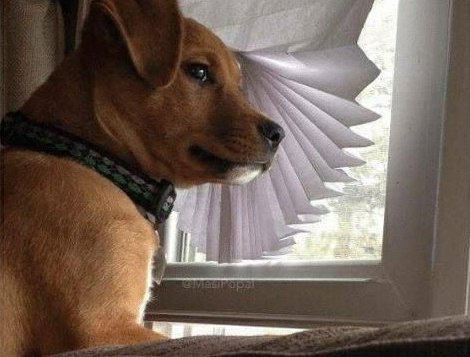 Azwathma tweet media